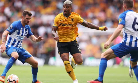 Nhận định Brighton vs Wolves: Chim mòng biển khuất phục Bầy sói