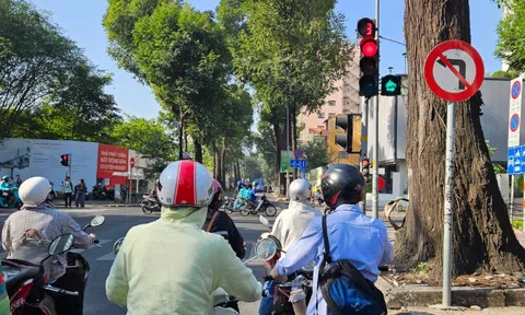 Người tham gia giao thông có thể bị phạt tới 6 triệu đồng nếu cố tình rẽ phải khi đèn đỏ