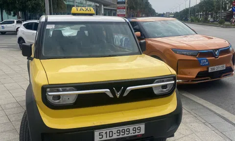 "Bé hạt tiêu" VinFast VF3 đeo biển "ngũ quý 9" để chạy taxi