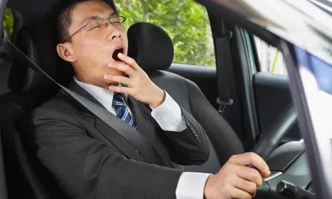 Bí kíp 15 phút nghỉ ngắn dành cho tài xế, ‘vũ khí’ bí mật tránh hiểm họa giao thông trong những chuyến đi dài