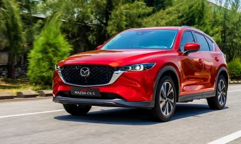 Lý do giúp Mazda CX-5, Ford Ranger "sống khỏe" tại Việt Nam trong kỷ nguyên xe điện
