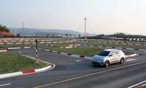 Học lái xe bằng ô tô điện rẻ và tiện, nhưng liệu có phù hợp với người dùng Việt?