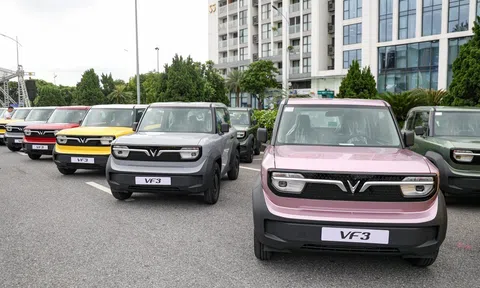 VinFast VF 3 vươn lên số 1 thị trường - Điều gì khiến người Việt đổ xô mua xe điện mini?