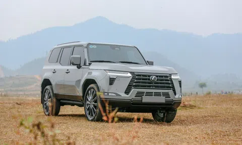 Bảng giá xe Lexus tháng 6/2025 tại Việt Nam: Sang trọng, đẳng cấp và đa dạng lựa chọn