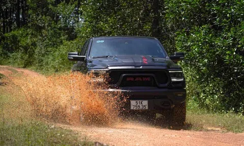 Cập nhật bảng giá xe Jeep tháng 6/2025: SUV và bán tải địa hình cho người mê khám phá