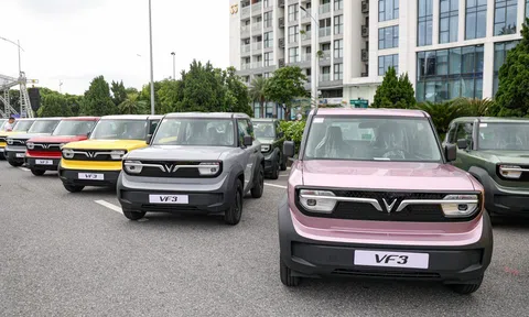 TOP 10 ô tô bán chạy nhất nửa đầu năm 2025: Xe điện VinFast chiếm trọn 3 vị trí đầu