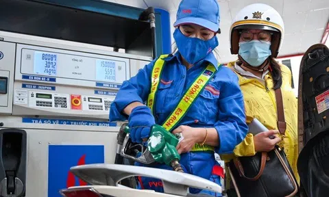 Hai "ông lớn" xăng dầu sẽ thí điểm bán xăng sinh học E10 từ ngày 1/8 tại 3 thành phố lớn
