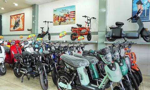 Thị trường xe điện sôi động trước lộ trình chuyển đổi xe xăng