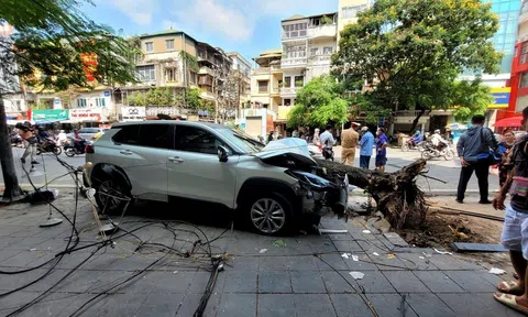 Ô tô "điên" liên tục gây họa trên đường phố Hà Nội: Phạt nồng độ cồn đang lơi lỏng?
