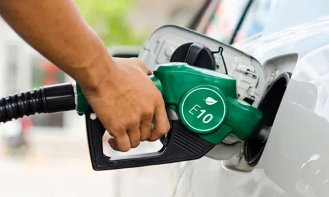 Những thách thức của xăng sinh học E10 trước khi chinh phục người tiêu dùng Việt