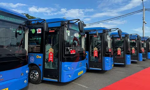 Thành phố Hồ Chí Minh mở rộng mạng lưới xe buýt điện, hơn 400 chiếc đi vào vận hành