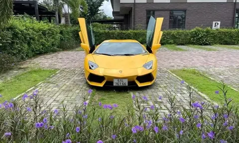 Siêu xe Lamborghini từng chạm mốc 26 tỷ, nay được rao bán với mức giá bất ngờ