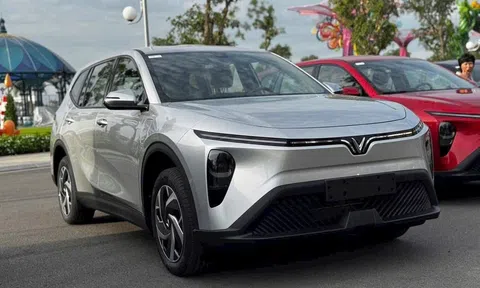 Bộ đôi xe điện VinFast Limo Green với BYD M6: Nên chọn xe nào cho bài toán kinh doanh?