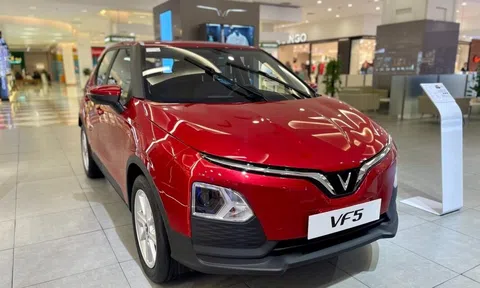 Doanh số SUV cỡ A tháng 7/2025: Xe điện VinFast áp đảo, xe xăng không mẫu nào vượt 500 chiếc