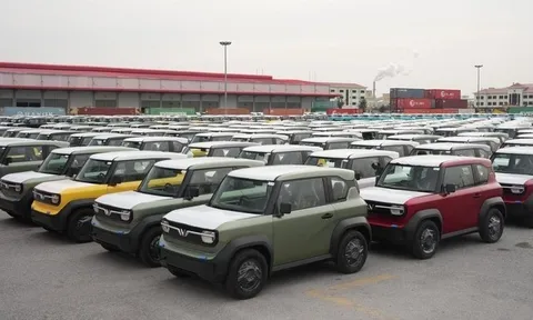 VinFast vượt Toyota, BYD để dẫn đầu về lượng ô tô xuất khẩu sang Indonesia tháng 8/2025