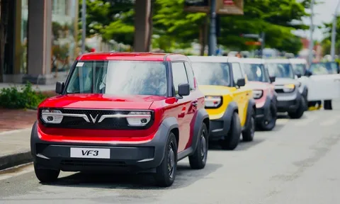 Việt Nam vươn lên vị trí thứ hai Đông Nam Á về tiêu thụ xe điện