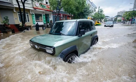 Chủ xe VinFast bị ảnh hưởng bởi bão Bualoi được miễn phí kiểm tra xe ngập nước