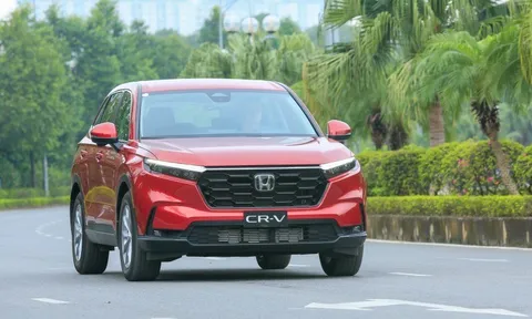 Doanh số SUV cỡ C tháng 11/2025: Phần lớn đều tăng trưởng, riêng Honda CR-V vẫn chững lại