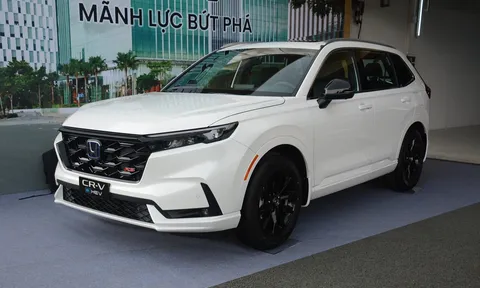 Doanh số ô tô Honda tại Việt Nam năm 2025: City tiếp tục 'gánh team', xe hybrid bắt đầu tạo dấu ấn