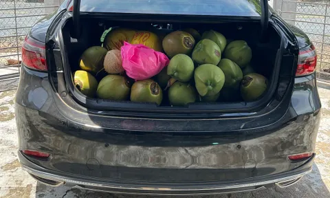 Chở đồ cồng kềnh trên ô tô dịp Tết: Những nguyên tắc quan trọng để an toàn và không phạm luật