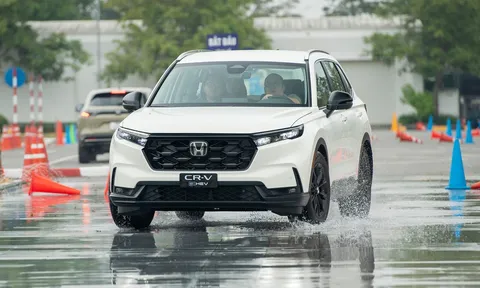 Xe hybrid ngày càng hút khách khi người Việt giảm mua ô tô động cơ xăng dầu