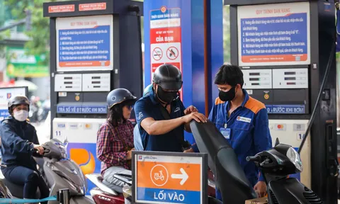 Nghi vấn trục lợi từ hóa đơn xăng dầu, cơ quan thuế yêu cầu rà soát gấp