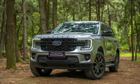 Thị phần SUV hạng D tại Việt Nam quý I/2026: Một mình Ford Everest chiếm hơn nửa 'miếng bánh'