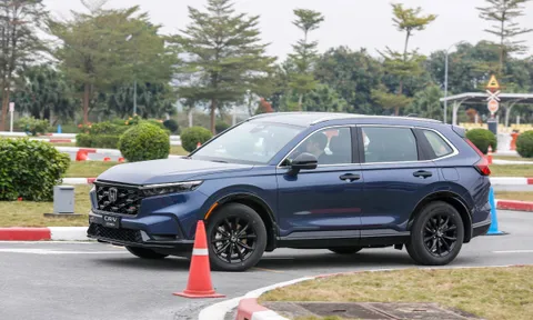 Điều gì đang giúp xe hybrid tăng sức hút tại Việt Nam?