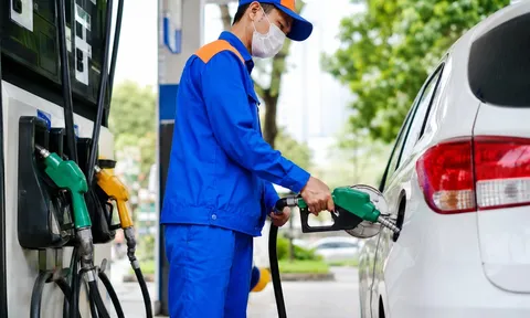 Xe dùng xăng E10 nhưng thường xuyên 'đắp chiếu', bảo quản thế nào cho đúng?