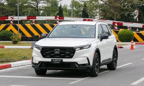 Ô tô, xe máy Honda được phân phối chính hãng tại Việt Nam đều có thể dùng xăng sinh học E10