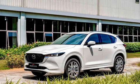 Mazda CX-5 giữ 'ngôi vương' phân khúc C-SUV, Ford Territory và Kia Sportage tăng tốc