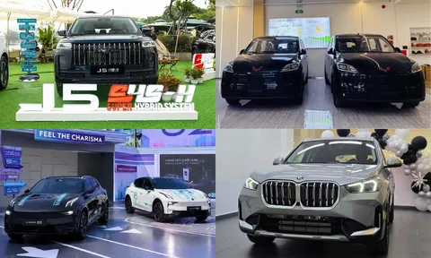 Thị trường ô tô Việt tháng 8/2026 sôi động với 5 tân binh đáng chú ý