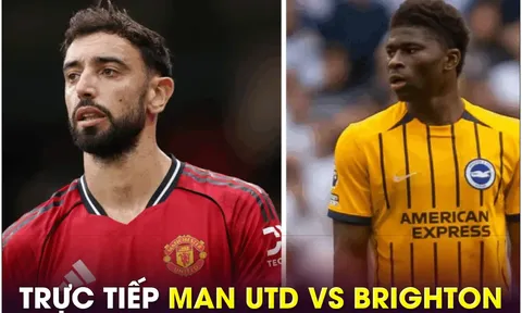 Trực tiếp bóng đá MU vs Brighton, 23h30 ngày 25/10 - Link xem trực tiếp bóng đá Ngoại hạng Anh K+ HD