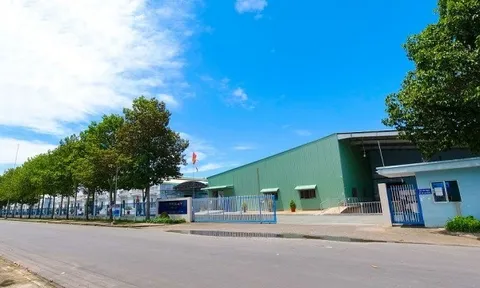 Cho thuê sân pickleball, 'ông lớn' ngành may 'lột xác' với mô hình kinh doanh mới