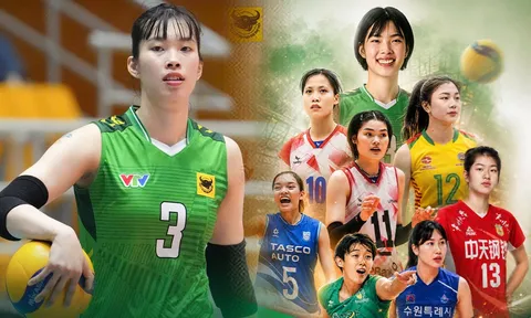 Link xem trực tiếp bóng chuyền nữ Cup VTV9 - Bình Điền 2026 mới nhất 16/5 - Xem miễn phí trên kênh nào?