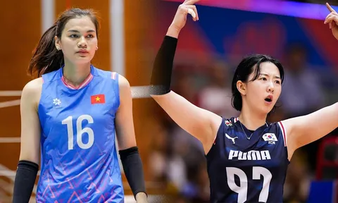 Lịch thi đấu bóng chuyền nữ Bán kết AVC Cup 2026 hôm nay 13/6 - Lịch trực tiếp tuyển nữ Việt Nam vs Hàn Quốc