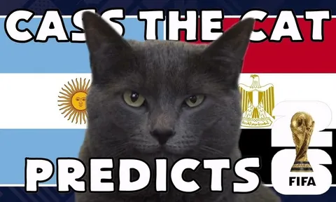 Dự đoán kết quả Argentina vs Ai Cập - World Cup 2026: Mèo tiên tri khiến Messi mừng thầm