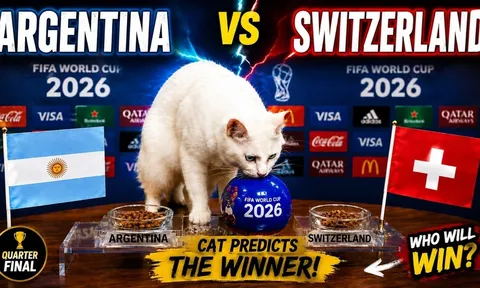Dự đoán kết quả Argentina vs Thụy Sĩ - Tứ kết World Cup 2026: Mèo tiên tri quay lưng với Lionel Messi