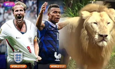Dự đoán kết quả Pháp vs Anh, 4h ngày 19/7 - Tranh hạng 3 World Cup 2026: Sư tử 'tiên tri' gây sốt
