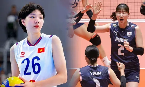 Xem trực tiếp bóng chuyền nữ châu Á 2026 ở đâu, kênh nào? Link xem tuyển bóng chuyền Việt Nam