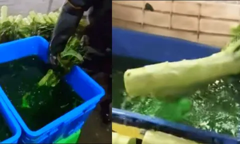 Phanh phui chiêu dùng phẩm màu ‘hô biến’ rau củ thành tươi xanh? Phẩm màu hại sức khỏe thế nào?
