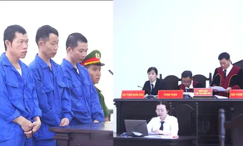 4 anh em ruột tranh chấp đất kèm tuyên bố ‘ai vào đất tao là tao chém hết’: Bản án cuối cùng cho 4 bị cáo