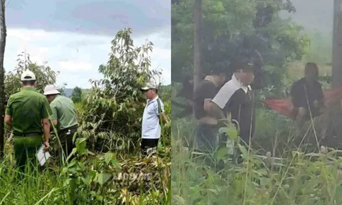 Vụ nhóm bịt mặt chém bảo vệ ở Lâm Đồng: Hé lộ diễn biến trước khi xảy ra vụ việc