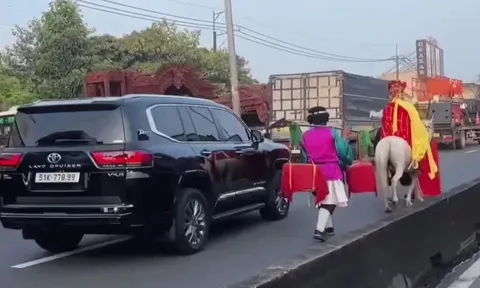 Thực hư clip 'thầy trò Đường Tăng' cưỡi ngựa đi vào làn ô tô tại TPHCM
