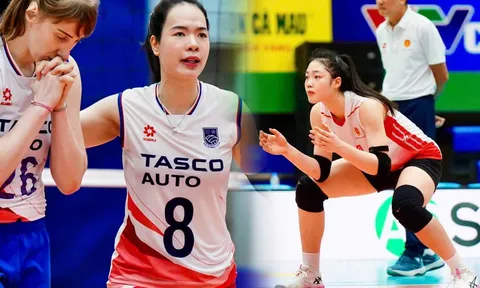 VTV trực tiếp bóng chuyền nữ BC Thông Tin BĐ19 vs Hà Nội Tasco Auto - Link trực tiếp giải VĐQG 2026