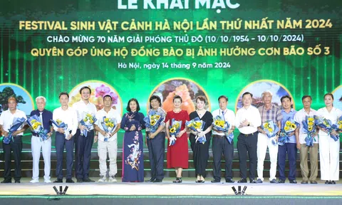 Festival Sinh vật cảnh Hà Nội lần thứ nhất năm 2024: Nơi tinh hoa hội tụ