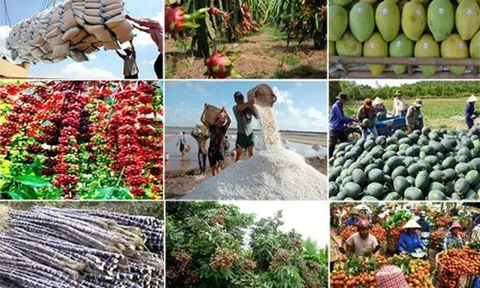 Chủ động khai thác các biện pháp bảo đảm sản xuất, chế biến, tiêu thụ và xuất khẩu nông sản