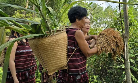 Bộ Văn hóa, Thể thao và Du lịch công bố 11 Di sản văn hóa phi vật thể Quốc gia