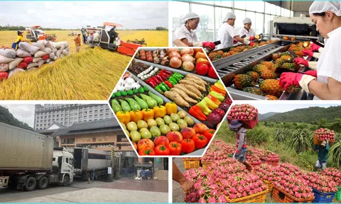 Hội nghị thúc đẩy xuất khẩu nông sản 2025: Nền tảng vững chắc cho tăng trưởng bền vững