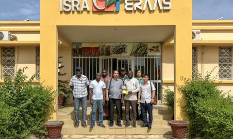 Việt Nam và Senegal: Hợp tác nông nghiệp vì an ninh lương thực và phát triển bền vững